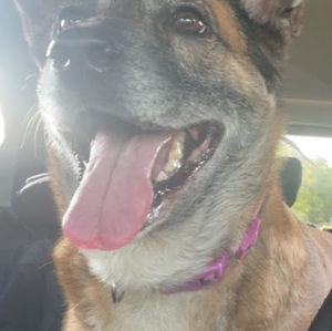 Meet your Posher, Hannah